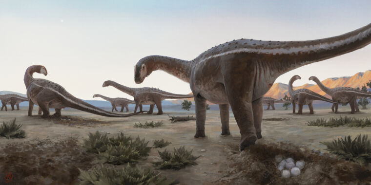 Un punto di nidificazione di titanosauri è stato trovato in Brasile