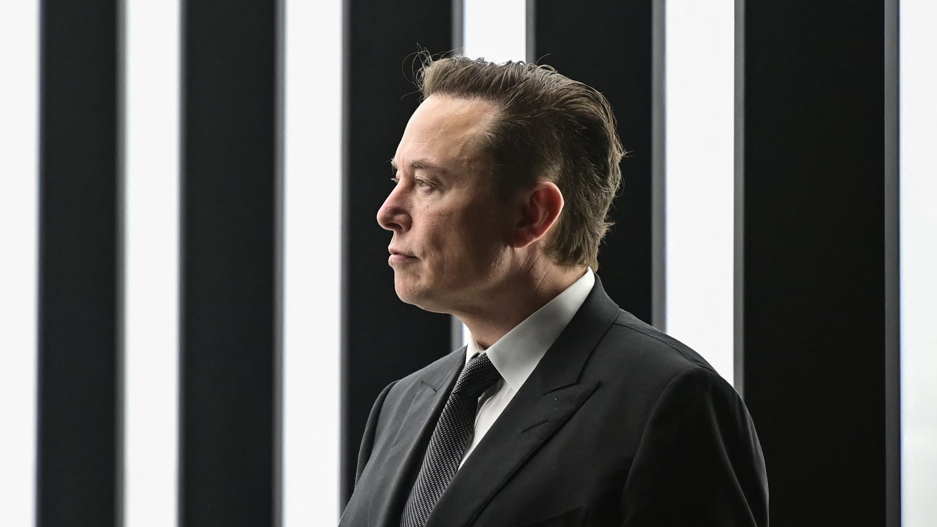 Elon Musk dice delle modifiche a Twitter Blue, dogecoin dovrebbe essere accettato
