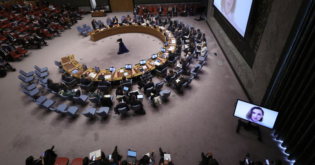Il Consiglio di sicurezza delle Nazioni Unite, inclusa la Russia, esprime preoccupazione per l'Ucraina