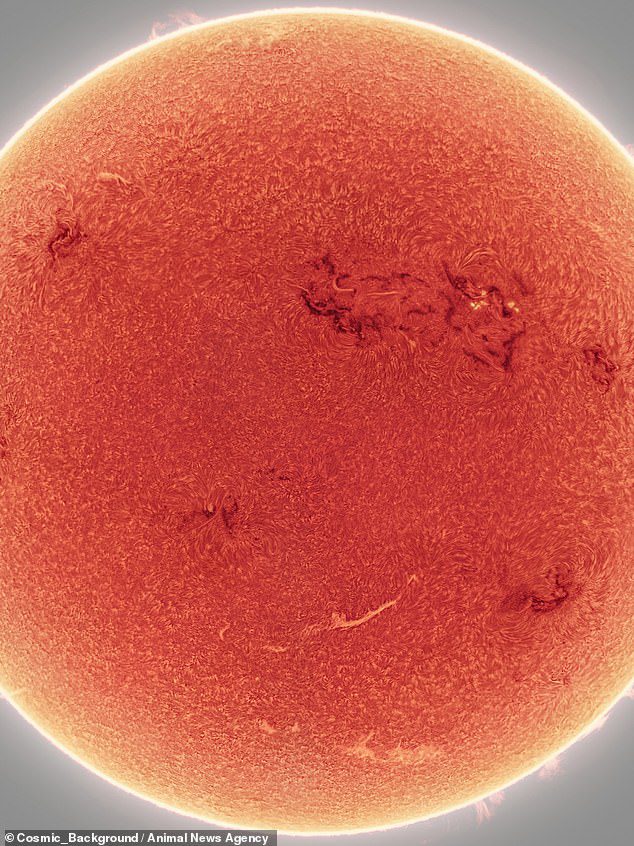 L'immagine cattura le macchie scure, note come regioni attive, sulla superficie del Sole e le macchie solari luminose che eruttano dalla palla di fuoco.