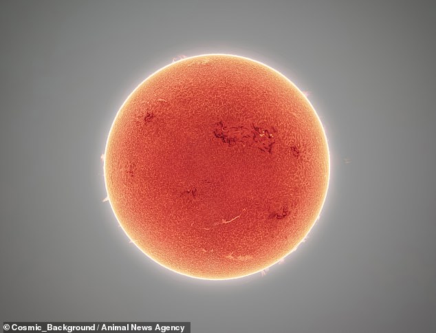 L'astrofotografo americano Andrew McCarthy ha selezionato 30.000 immagini per creare un mosaico che cattura il Sole in alta risoluzione da Firenze, Arizona, USA