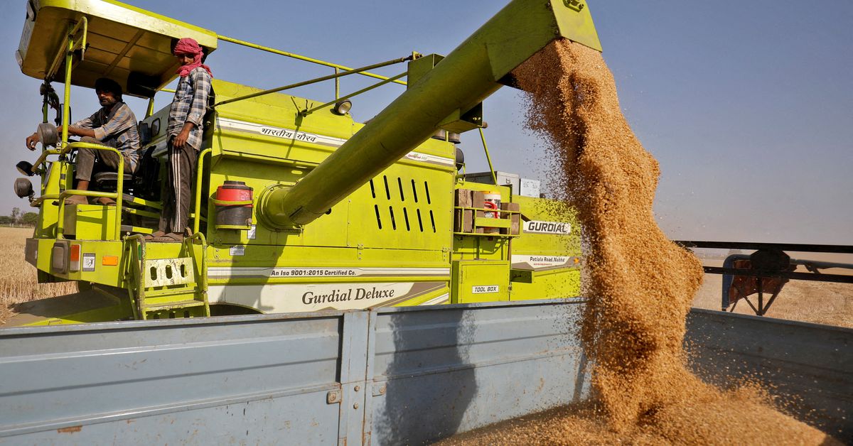 L'India vieta le esportazioni di grano poiché l'ondata di caldo danneggia i raccolti e fa salire i prezzi interni
