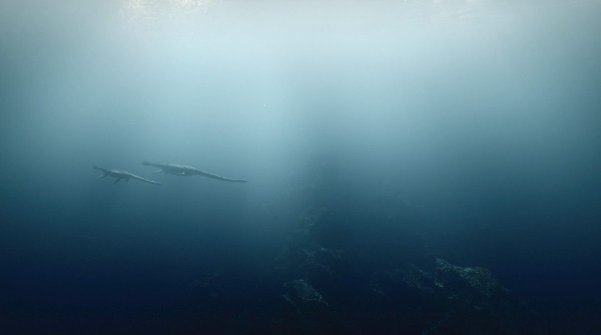 Due Touareg nuotano insieme in un nebbioso paesaggio marino