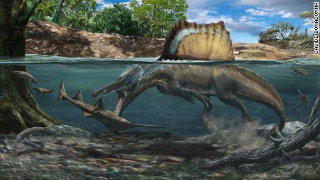 Un dinosauro più grande di un T. rex nuotava e cacciava sott'acqua