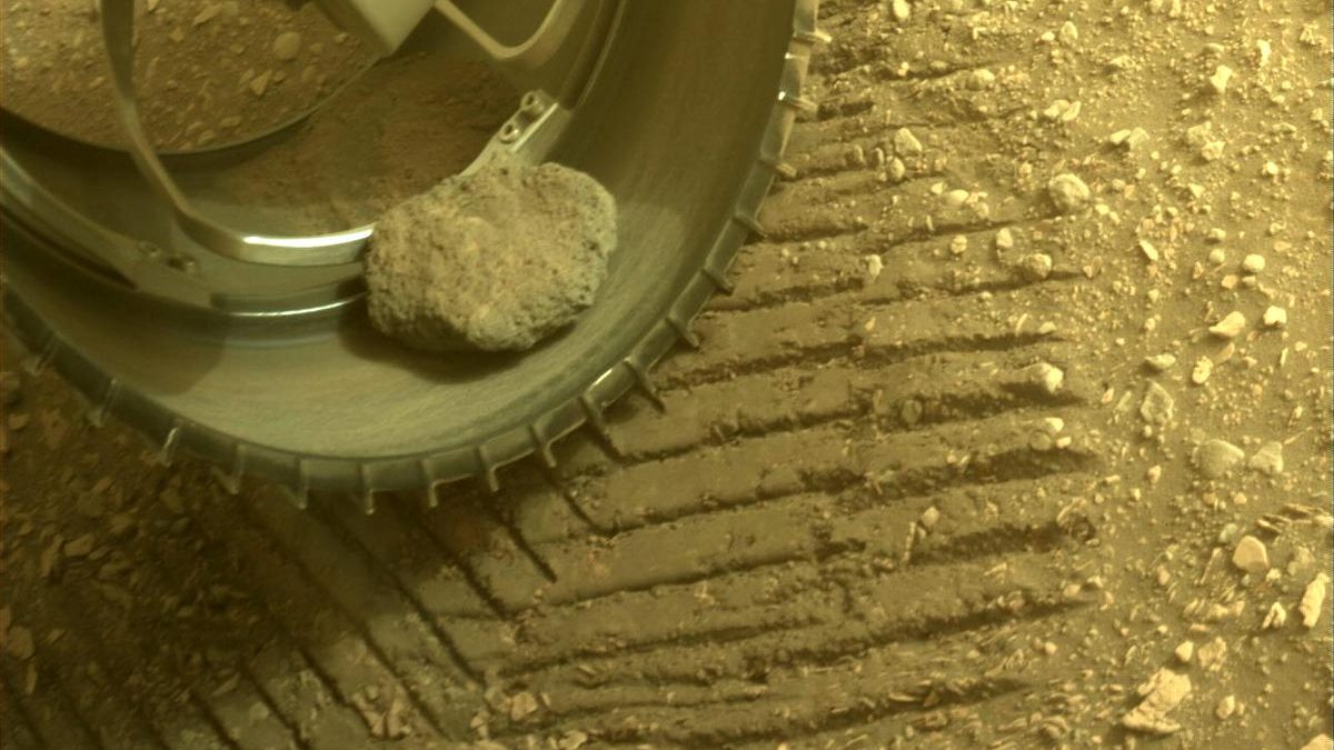 Vista ravvicinata della roccia da compagnia del tenace rover Mars nella ruota anteriore sinistra.