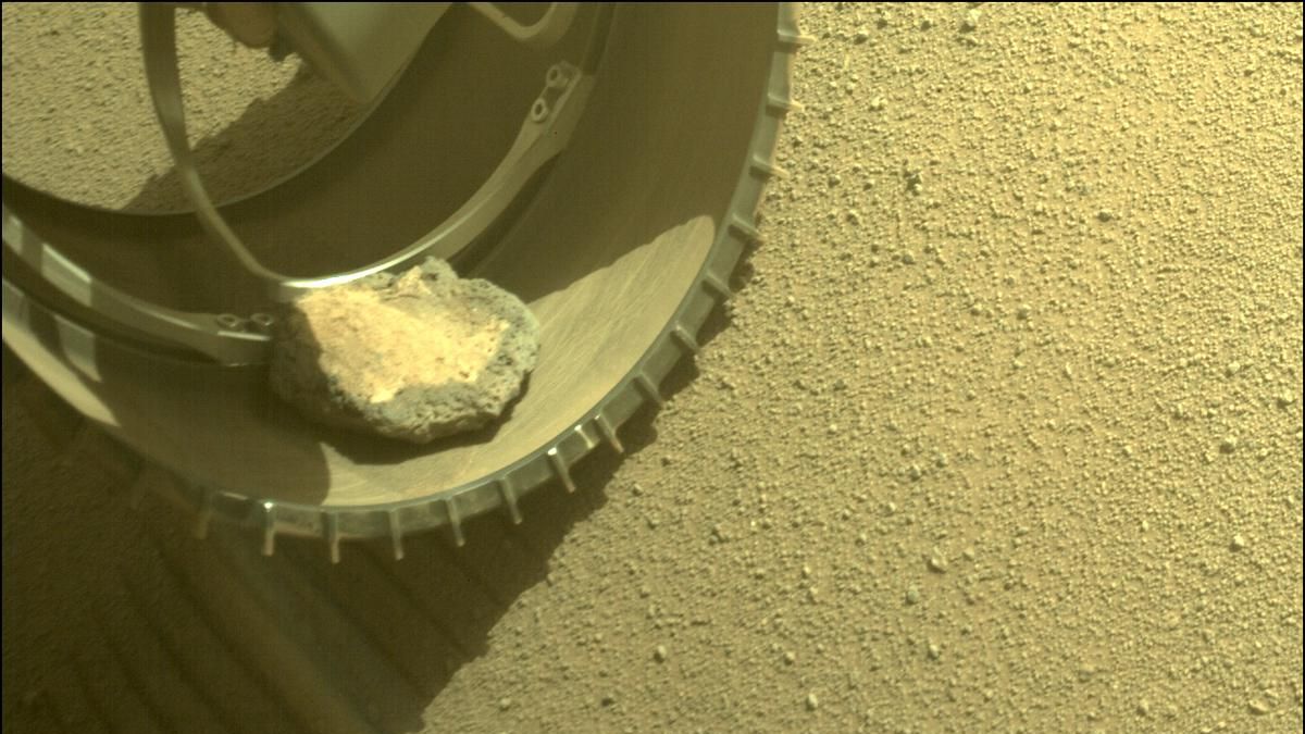 Il rover Perseverance della NASA su Marte ha il suo rover "rock pet".
