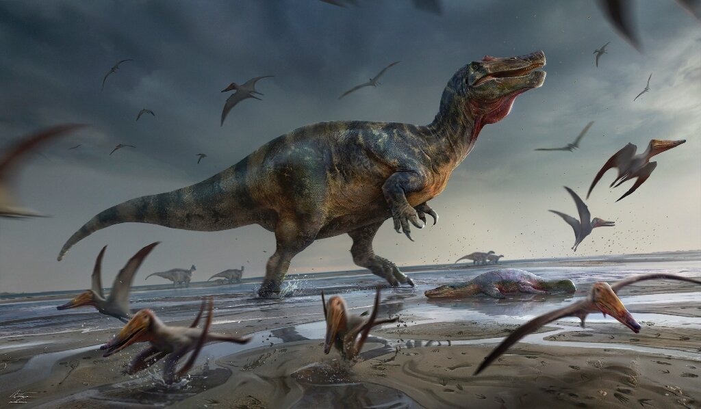 Un cacciatore di fossili britannico scopre il più grande dinosauro predatore d'Europa