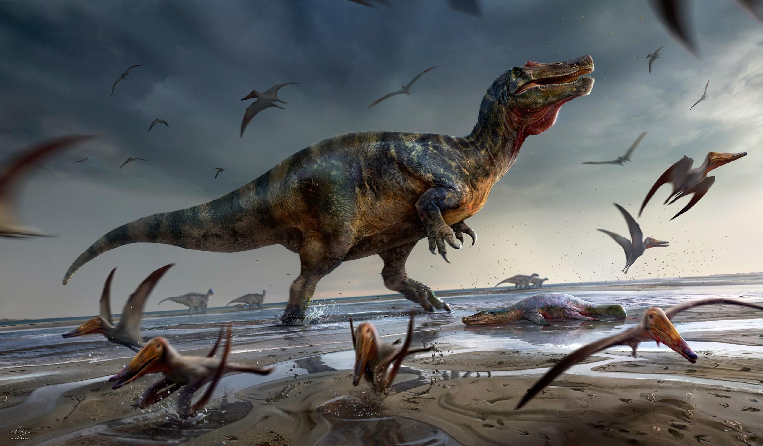 La scoperta del più grande dinosauro predatore d'Europa sull'Isola di Wight