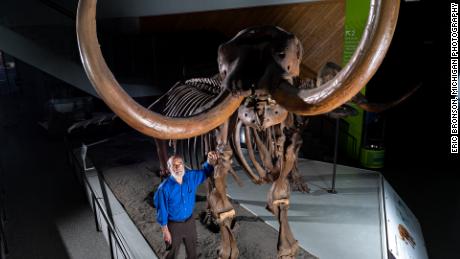 Il paleontologo dell'Università del Michigan Daniel Fisher posa con lo scheletro composito di un mastodonte di Buesching.  Fotografia di Eric Bronson, Fotografia del Michigan.