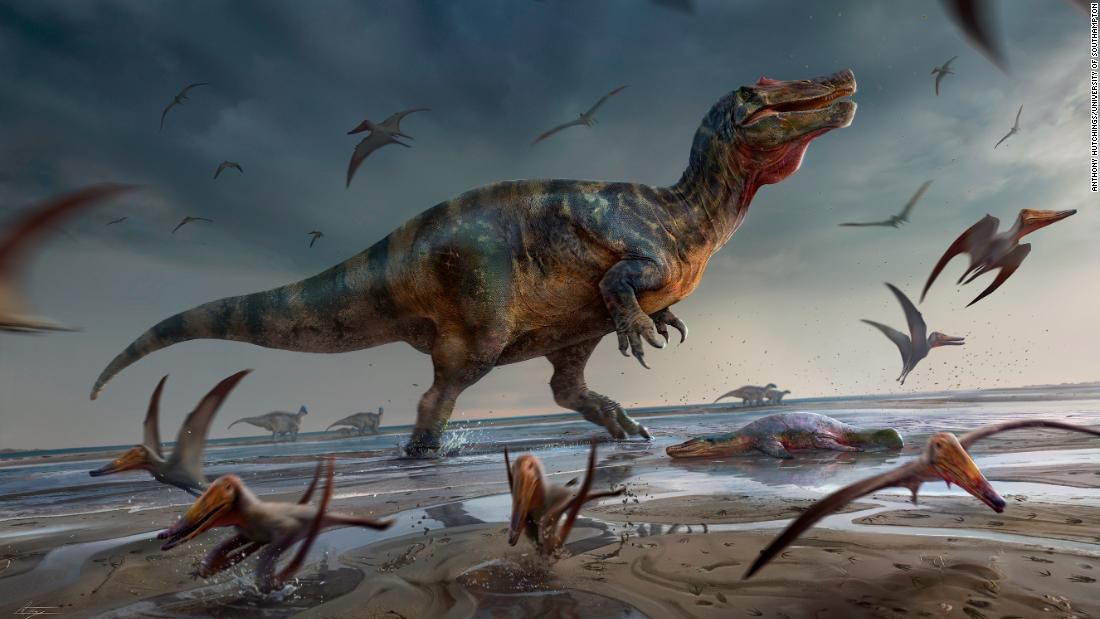 Gli scienziati hanno scoperto i resti di uno dei più grandi dinosauri predatori in Europa