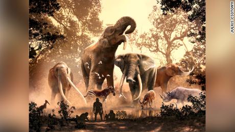 Gli elefanti moderni sono sfuggiti agli antichi cambiamenti climatici.  Non c'erano più di 180 altre specie, compresi i mastodonti