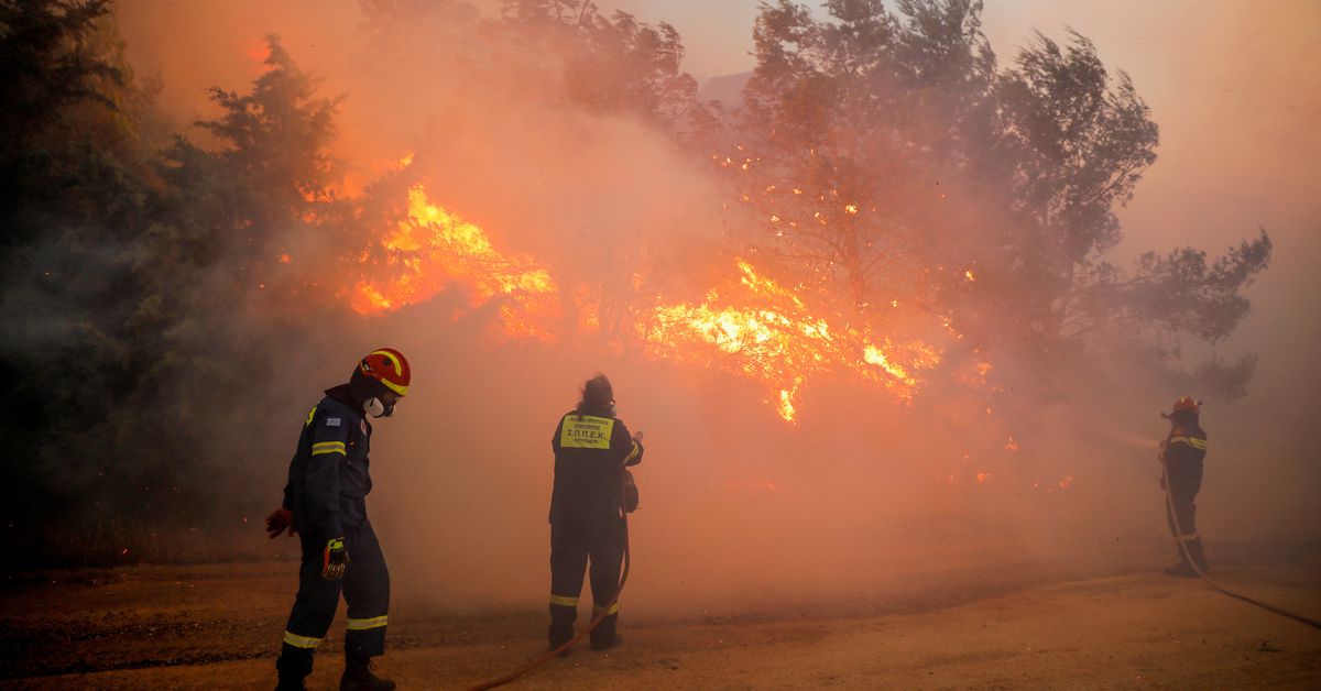 Gli incendi greci stanno imperversando vicino ad Atene;  Abitazioni, evacuazione ospedaliera