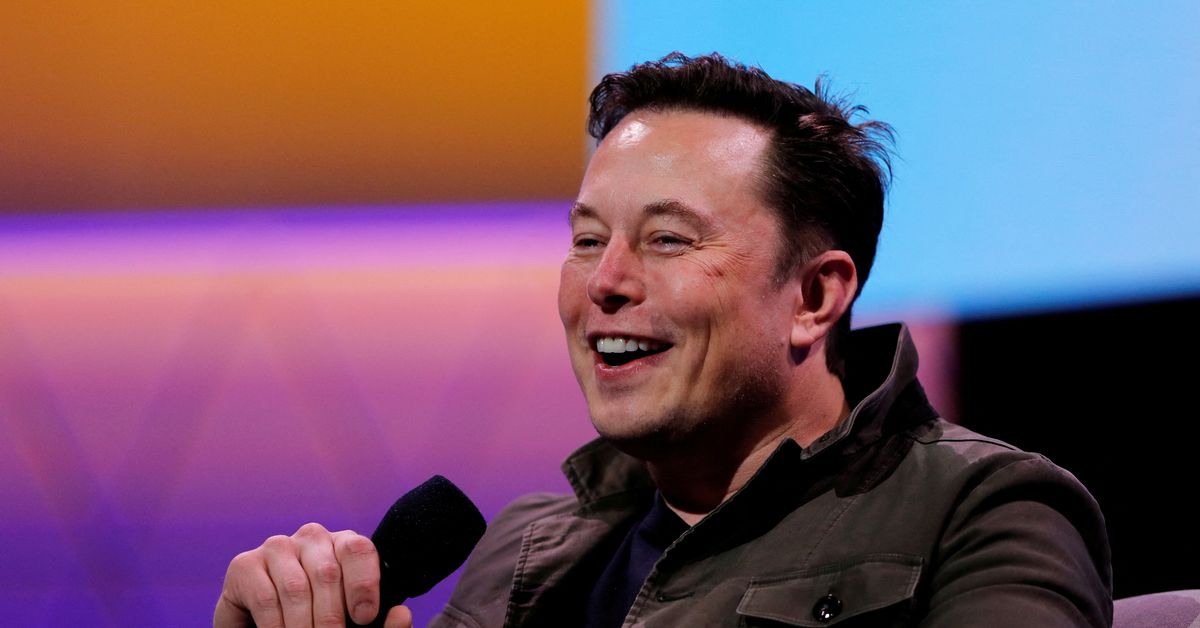 Marte, natalità, ma non su Twitter: Elon Musk affascina gli imperatori della Sun Valley