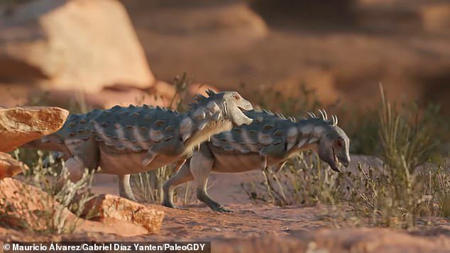 Il dinosauro era un mangiatore di piante, con denti a forma di foglia simili a quelli di uno stegosauro, era probabile che camminasse eretto e avesse un becco corto in grado di fornire un morso potente