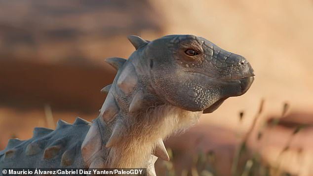 Lo scheletro parziale di un dinosauro è stato scoperto nella provincia di Río Negro, nel nord della Patagonia