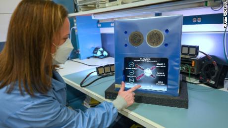 La prima missione lunare della NASA ad Artemis avrà un astronauta virtuale: Amazon'  s Alexa