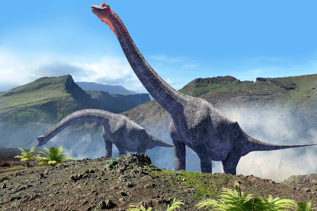 Lo scheletro probabilmente apparteneva a un dinosauro sauropode che vagava per il territorio del moderno Portogallo tra 160-100 milioni di anni fa. 