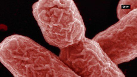 Fatti veloci sui focolai di E. coli