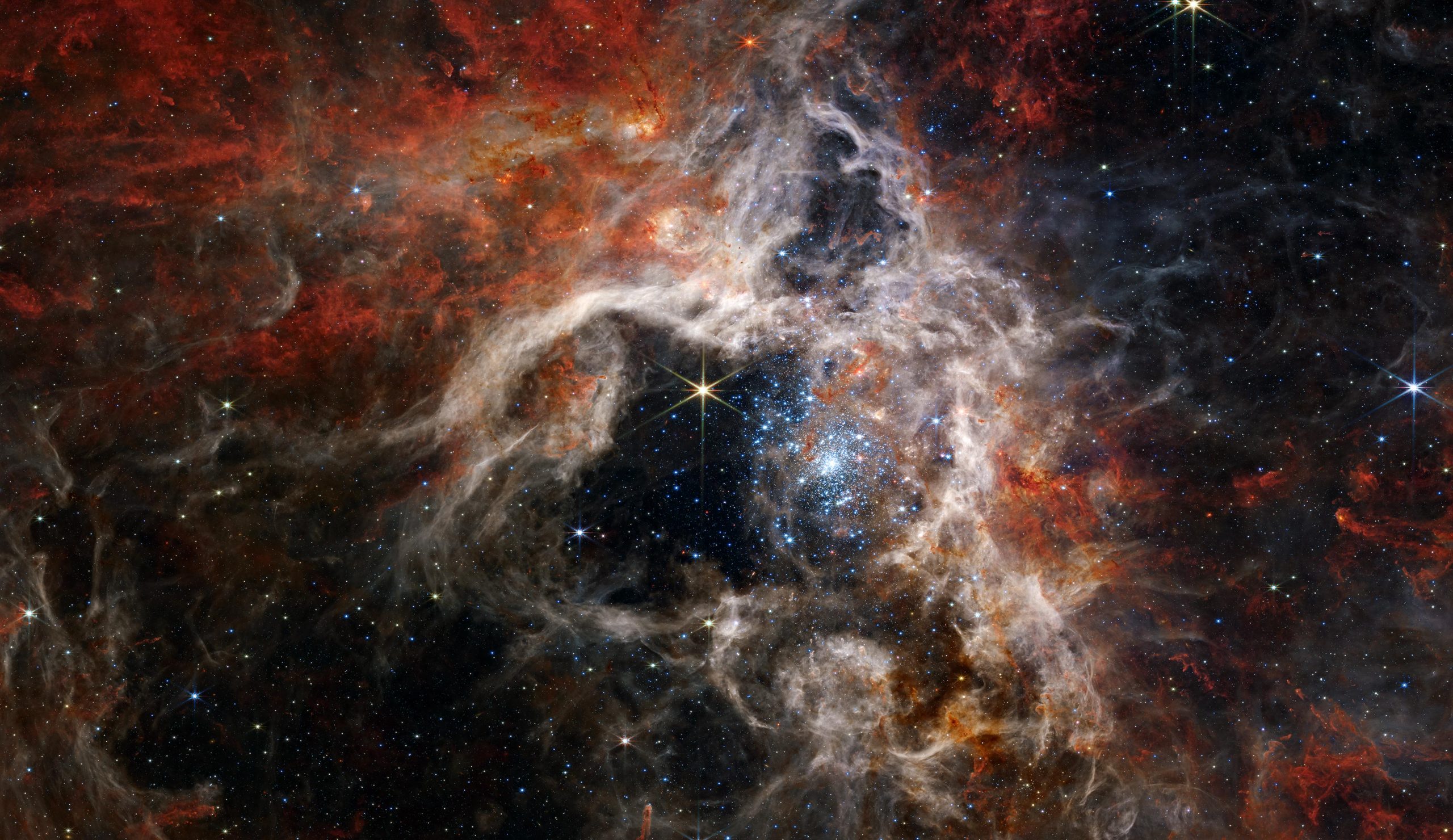 Il telescopio spaziale Webb della NASA cattura una tarantola cosmica