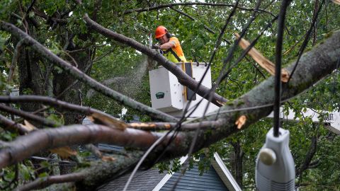 Un lavoratore rimuove alberi caduti e cavi caduti dai danni ad Halifax il 24 settembre 2022.  