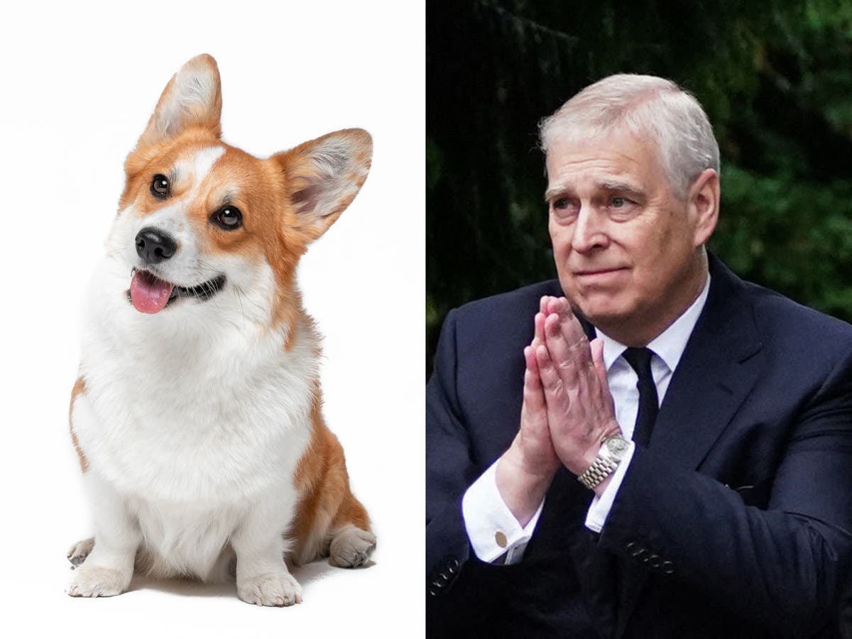 Queens Corgi: il principe Andréj e Sarah Ferguson a prendere i cani reali