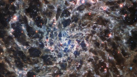 Il telescopio Webb ha individuato la galassia a spirale IC 5332, situata a 29 milioni di anni luce di distanza.