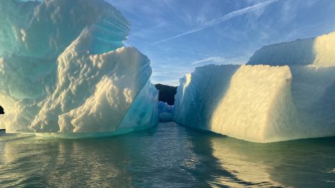 Questi iceberg sono nati dalla fine del ghiacciaio LeConte in Alaska.
