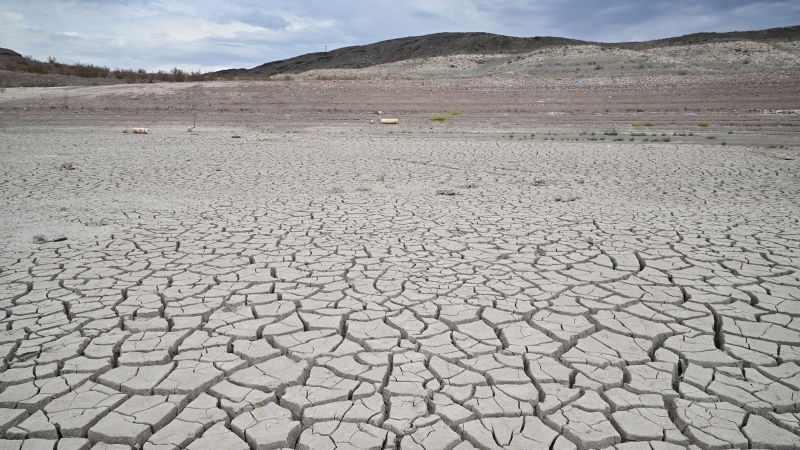La grave siccità nell'emisfero settentrionale è "quasi impossibile" senza il cambiamento climatico