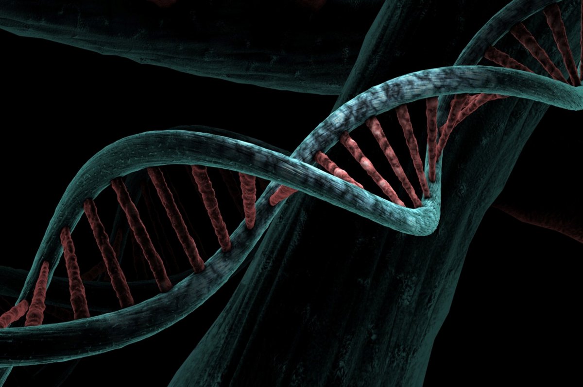 Il primo DNA rivela due popolazioni distinte in Gran Bretagna dopo l'ultima era glaciale