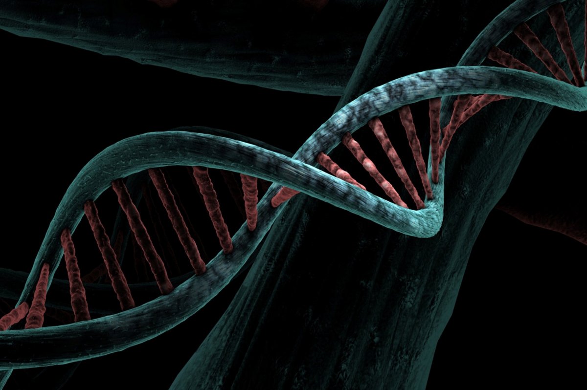 Il primo DNA rivela due popolazioni distinte in Gran Bretagna dopo l’ultima era glaciale