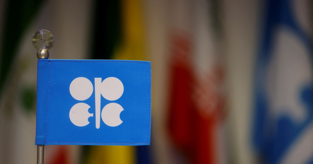 I membri dell'OPEC+ si schierano per sostenere i tagli alla produzione dopo le richieste di coercizione degli Stati Uniti
