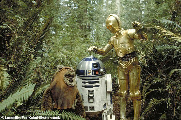 Iconico: ha anche interpretato un Ewok nel popolare film del 1983 Star Wars: Episodio VI - Il ritorno dello Jedi (immagine generale di un Ewok con i personaggi R2-D2 e C-3PO