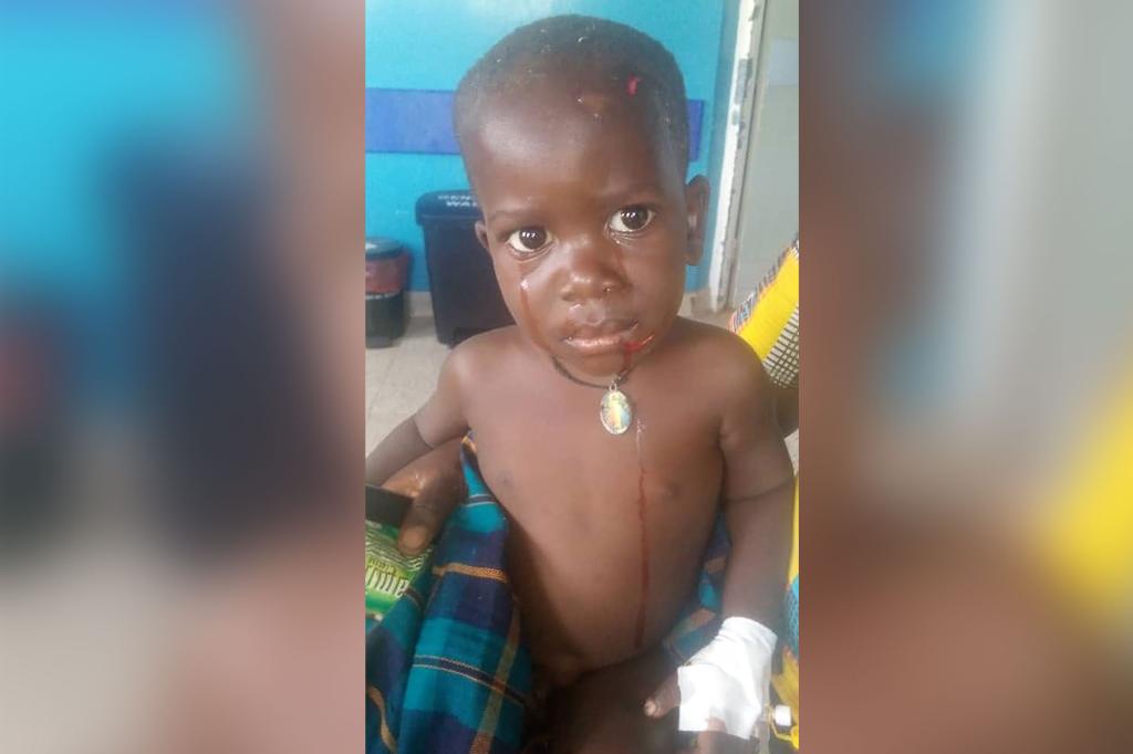 Un ippopotamo ingoia ed espelle un bambino di due anni in Uganda
