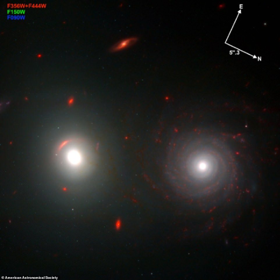 L'immagine mostra anche singoli ammassi globulari attorno a galassie ellittiche distanti e nodi di formazione stellare all'interno di galassie a spirale (nella foto)